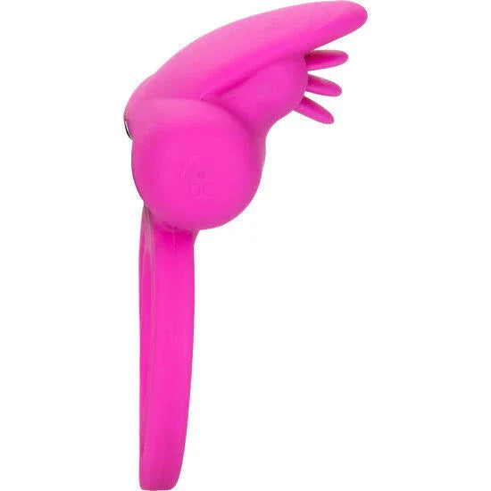 Calexotics – Améliorateur de Scintillement Double Clito