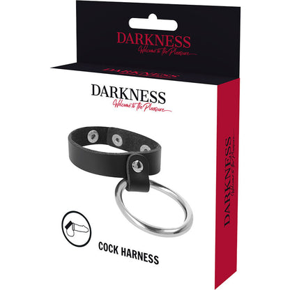 DARKNESS - ANILLO METÁLICO PARA EL PENE Y LOS TESTICULOS