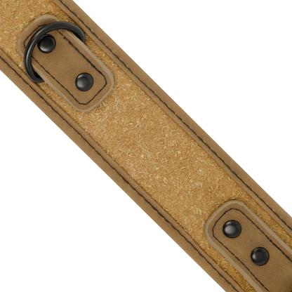 ORIGEN SUBMISIVO FETISH - COLLAR DE CADENA FORRADO EN NEOPRENO