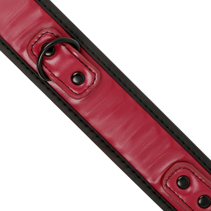 FETISH SUBMISSIVE DARK ROOM - COLLAR DE CADENA FORRADO EN NEOPRENO